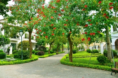 Tháng 5/2025: SJ Group và những bước tiến mới tại dự án Khu đô thị Nam An Khánh