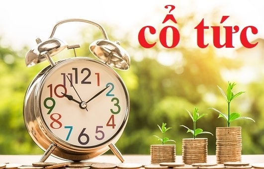 SUDICO Hòa Bình thông báo ngày đăng ký cuối cùng để thực hiện quyền nhận cổ tức năm 2021
