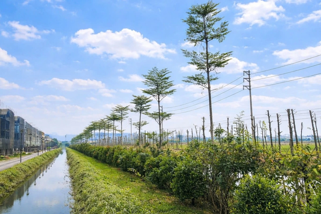 SJ Group hoàn thành 131% kế hoạch phủ xanh Vista Nam An Khánh